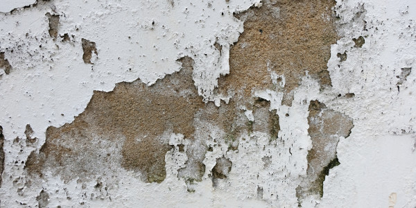 Pintar Fachadas de Empresas / Negocios / Locales Comerciales Tossa de Mar · Pintura Antihumedad / Antimoho para Humedades / Moho