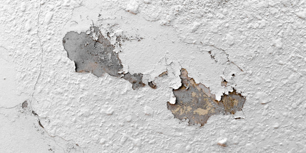 Pintar Fachadas de Naves Industriales, Fábricas y Almacenes Sant Julià de Ramis · Pintura Antihumedad / Antimoho para Humedades / Moho